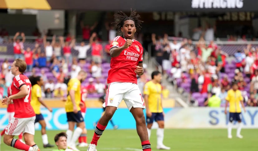 benfica auckland